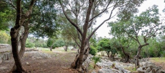 11 bedrooms House in Mallorca, Spain No. 30673 22