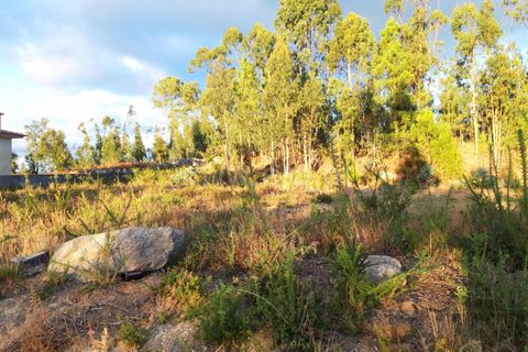  Land in Barcelos, Portugal No. 205218