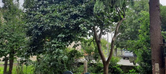 5 bedrooms House in Gremiasco, Italy No. 328935 24