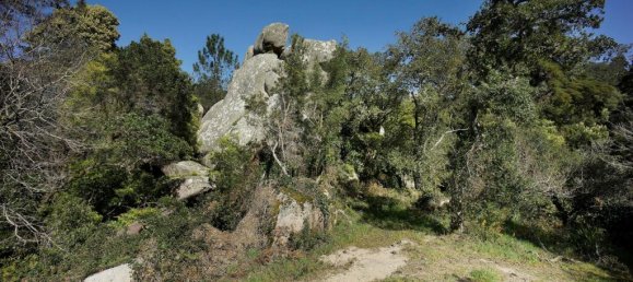  قطعة أرض في Sintra, Portugal رقم 50325 30