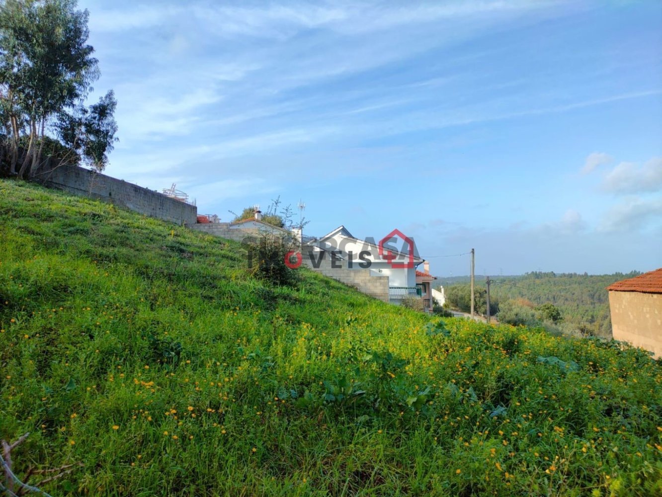  Land in Leiria, Portugal No. 336213