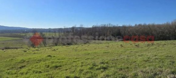 6-Zimmer Wohnung in Monte San Savino, Italy, Nr. 64045 33