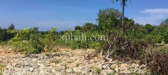  قطعة أرض في South Kuta, Indonesia 1000متر مربع رقم 4162 6