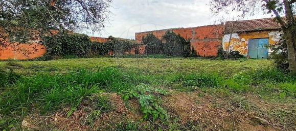 2 bedrooms House in Santarem, Portugal No. 182279 3