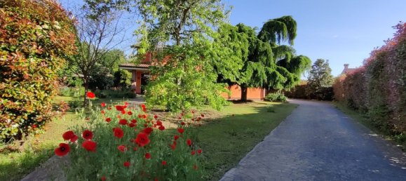 7 chambres Villa à Canaro, Italy No. 365188 3