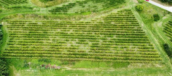 26640m² Land in Udine, Italy No. 283197 3