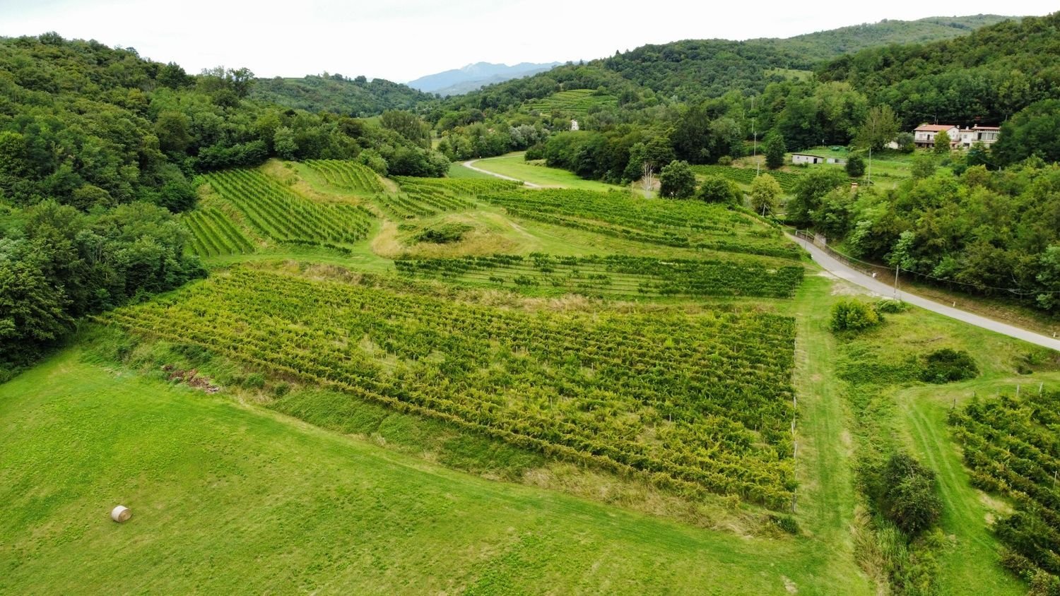 26640m² Land in Udine, Italy No. 283197