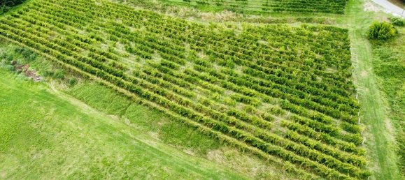 26640m² Land in Udine, Italy No. 283197 2