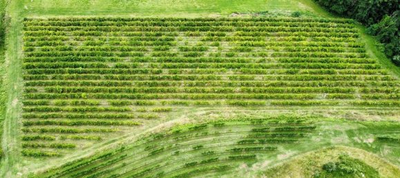 26640m² Land in Udine, Italy No. 283197 4