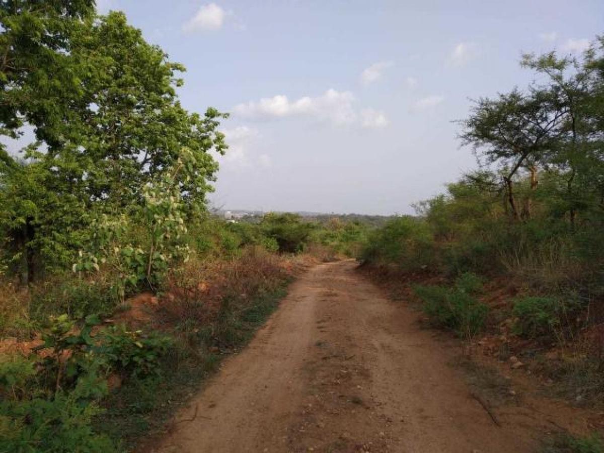  Land in Bangalore, India No. 36503