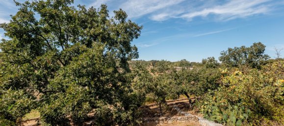 6 غرف نوم منزل في Castelo de Vide, Portugal رقم 113926 38