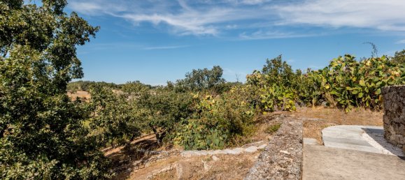 6 غرف نوم منزل في Castelo de Vide, Portugal رقم 113926 35