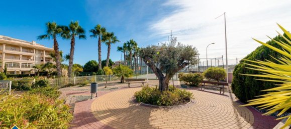 2 bedrooms Apartment in Alicante, Spain No. 166839 37