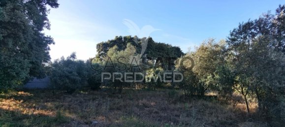 Land in Quarteira, Portugal No. 190638 16