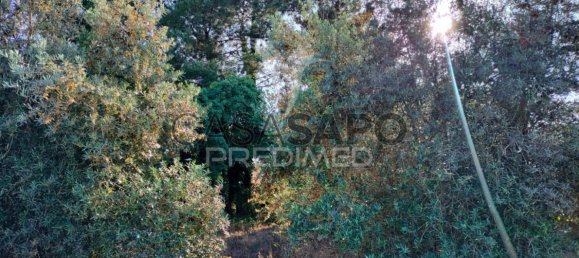 Land in Quarteira, Portugal No. 190638 29