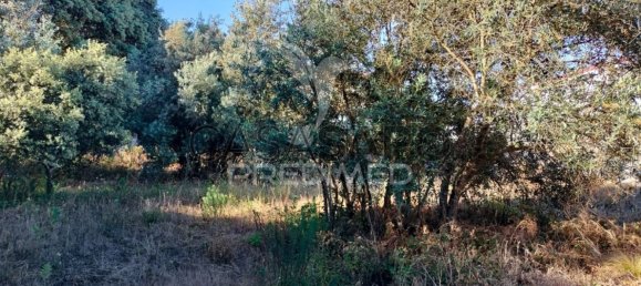 Land in Quarteira, Portugal No. 190638 19