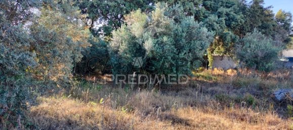  قطعة أرض في Quarteira, Portugal رقم 190638 3