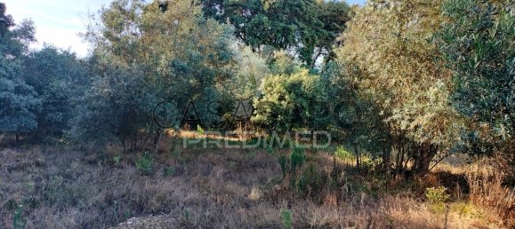 Land in Quarteira, Portugal No. 190638 18