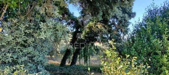  قطعة أرض في Quarteira, Portugal رقم 190638 2