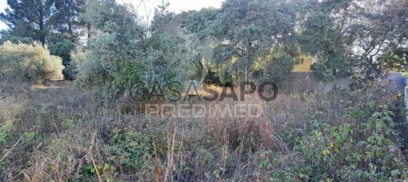 Land in Quarteira, Portugal No. 190638 15