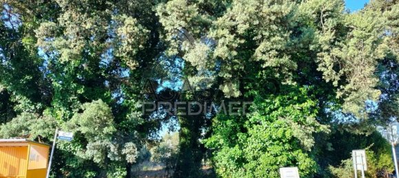 Land in Quarteira, Portugal No. 190638 23