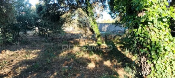 Land in Quarteira, Portugal No. 190638 24