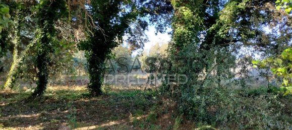 Land in Quarteira, Portugal No. 190638 26