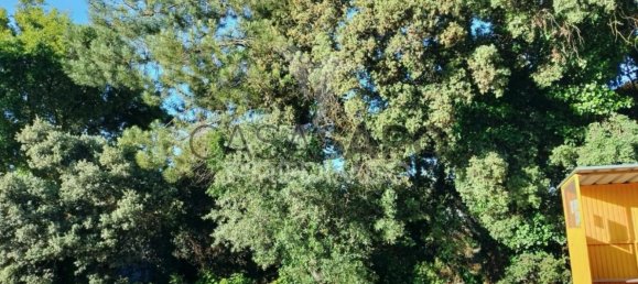 Land in Quarteira, Portugal No. 190638 4