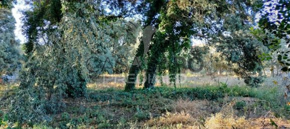 Land in Quarteira, Portugal No. 190638 28