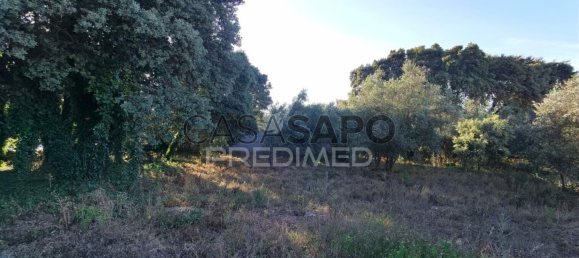 Land in Quarteira, Portugal No. 190638 14