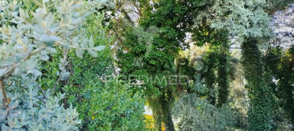 Land in Quarteira, Portugal No. 190638 22