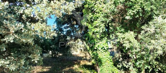 Land in Quarteira, Portugal No. 190638 27