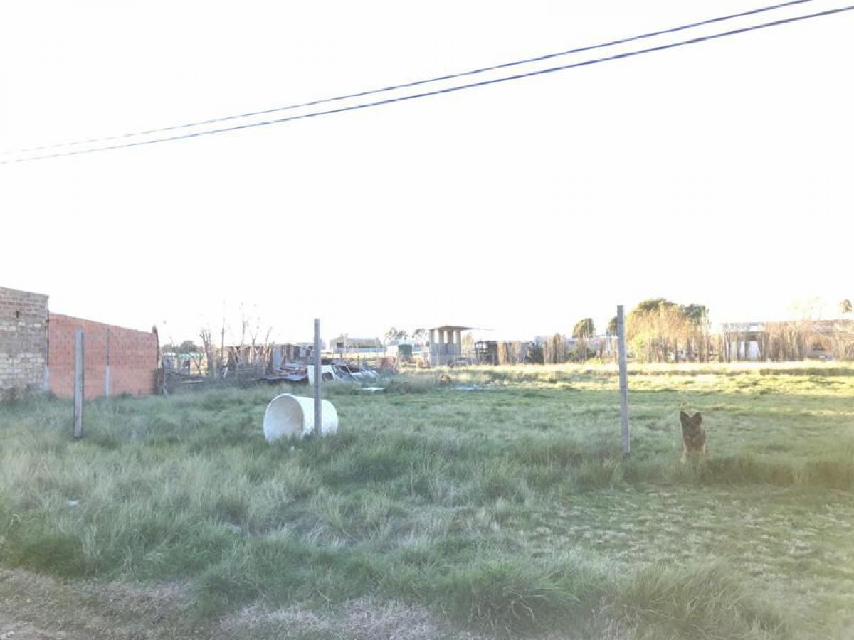 Grundstück in Buenos Aires, Argentina, Nr. 119502