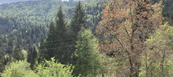 6 rooms Villa in Udine, Italy No. 303637 3