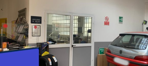 Gewerbliche Immobilie in Turin, Italy 250m², Nr. 87189 7