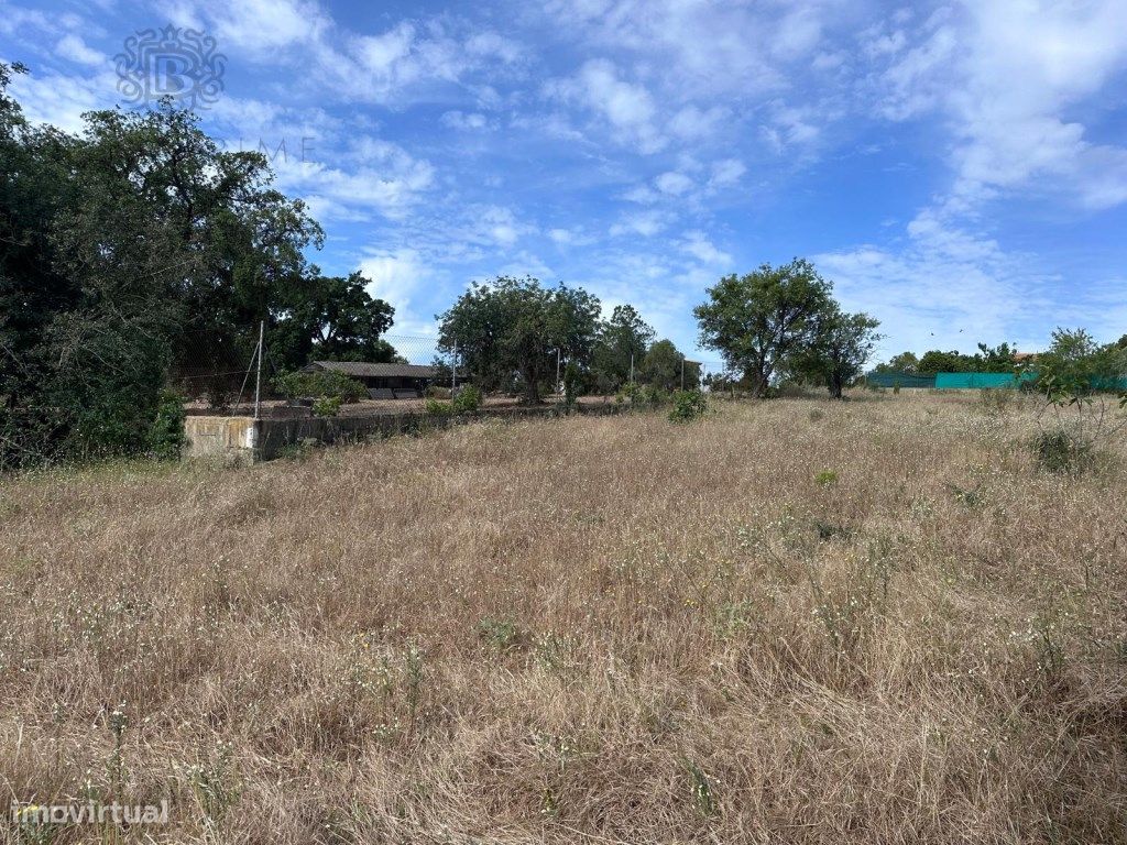 Grundstück in Almancil, Portugal 4970m², Nr. 203059