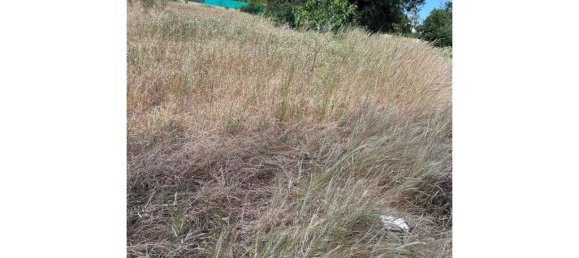 Grundstück in Almancil, Portugal 4970m², Nr. 203059 2