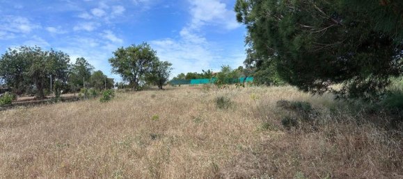 Grundstück in Almancil, Portugal 4970m², Nr. 203059 5