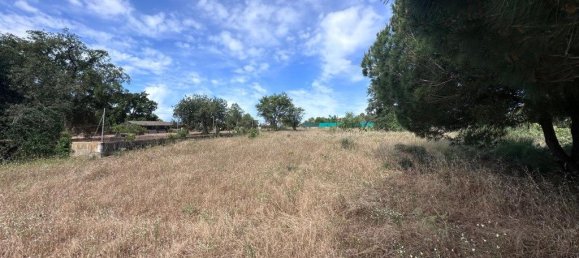 Grundstück in Almancil, Portugal 4970m², Nr. 203059 4