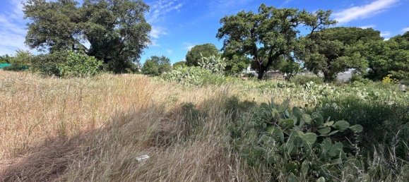 Grundstück in Almancil, Portugal 4970m², Nr. 203059 6