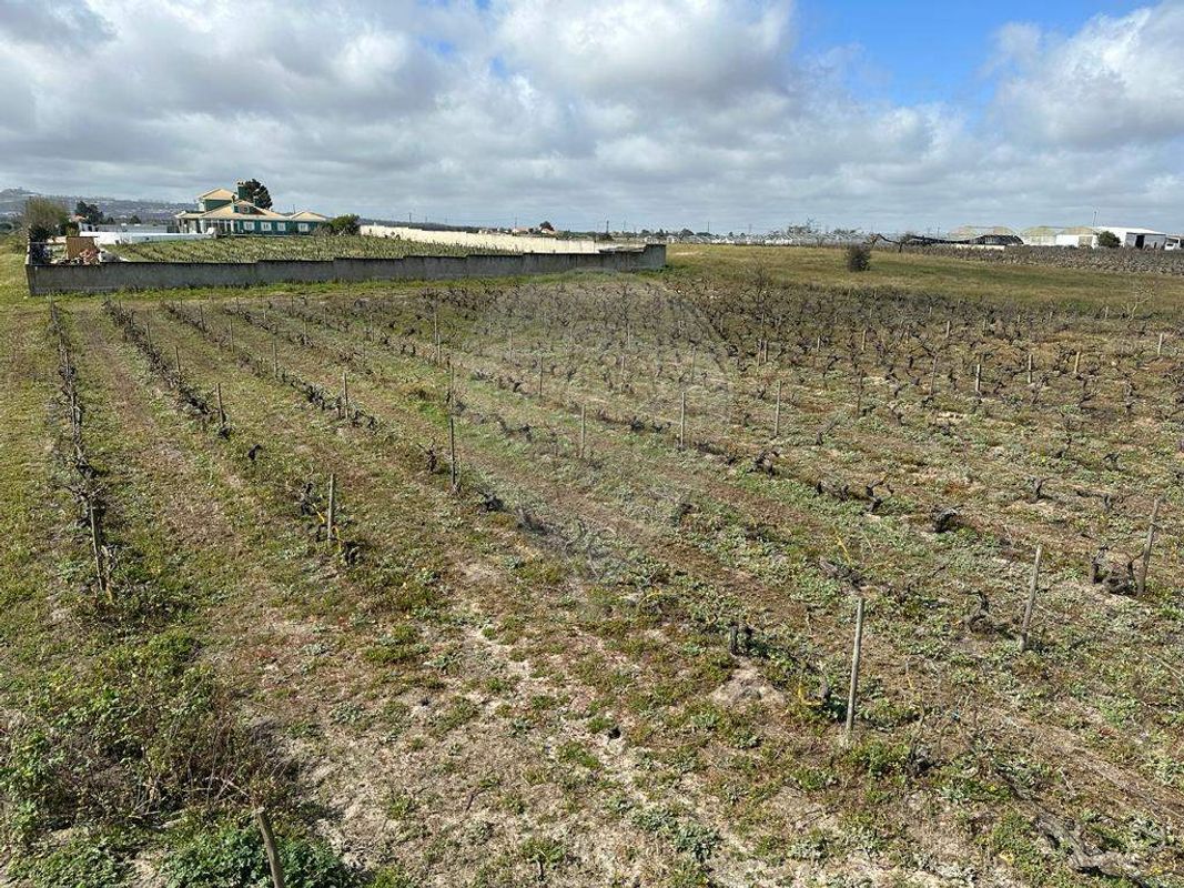 7500m² Land in Palmela, Portugal No. 92698