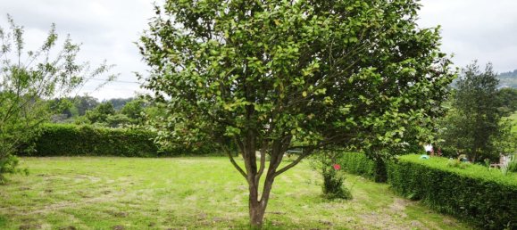 4 Schlafzimmer Haus in Gijon, Spain, Nr. 162787 50