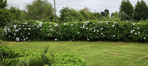 4 Schlafzimmer Haus in Gijon, Spain, Nr. 162787 48