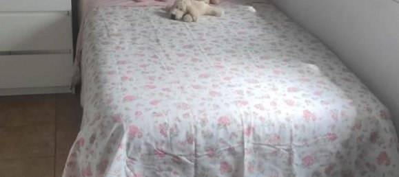 3 bedrooms House in Cadiz, Spain No. 145862 13