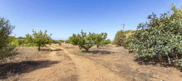 10 chambres Maison à Mahon, Spain No. 8709 2