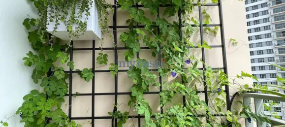 3 chambres appartement à louer à Thu Duc, Ho Chi Minh, Vietnam № 9318 5