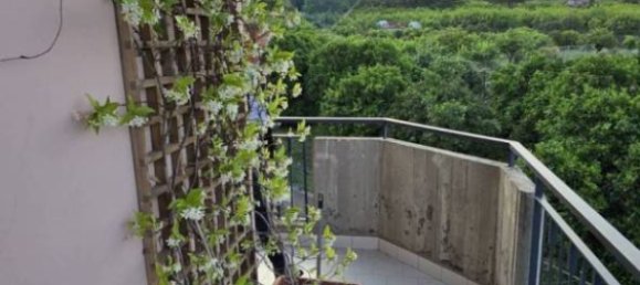 4 bedrooms Apartment in Mascali, Italy No. 262090 15