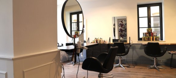 87m² Commercial property in Thionville, France No. 244427 3