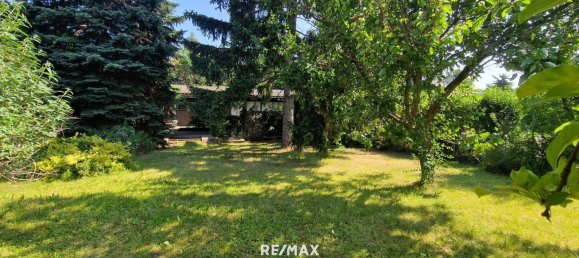 2 rooms House in Durnkrut, Austria No. 148403 21