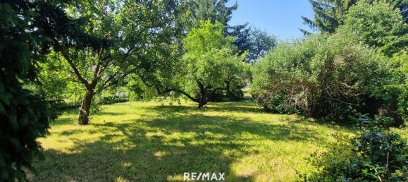 2 rooms House in Durnkrut, Austria No. 148403 22